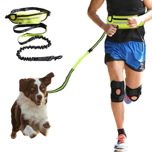 Hands-Free Dog Leash for Runners